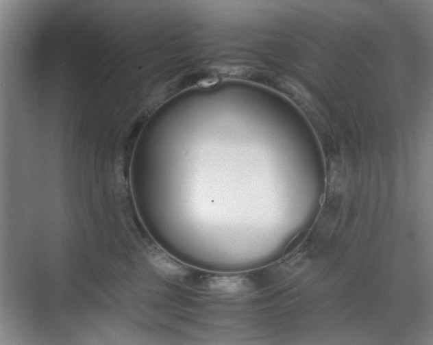 X0000070380377200606161350