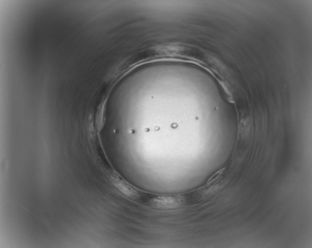 X0000070380381200606161350