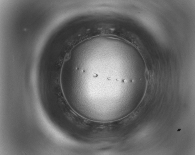 X0000070380383200606161350