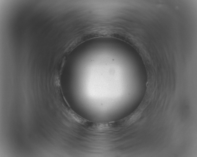 X0000070380384200606161350