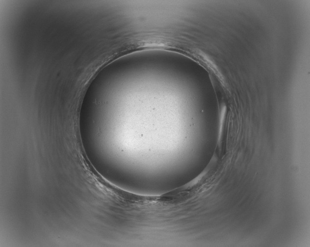 X0000070380385200606161349