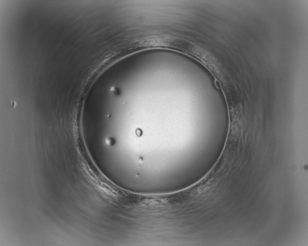 X0000070380386200606161349