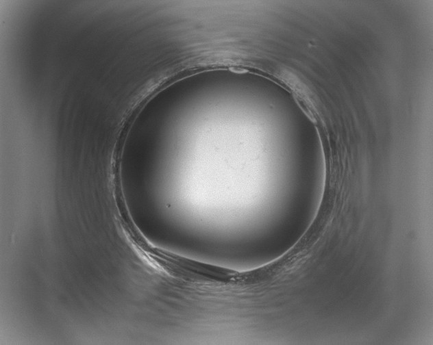 X0000070380389200606161349