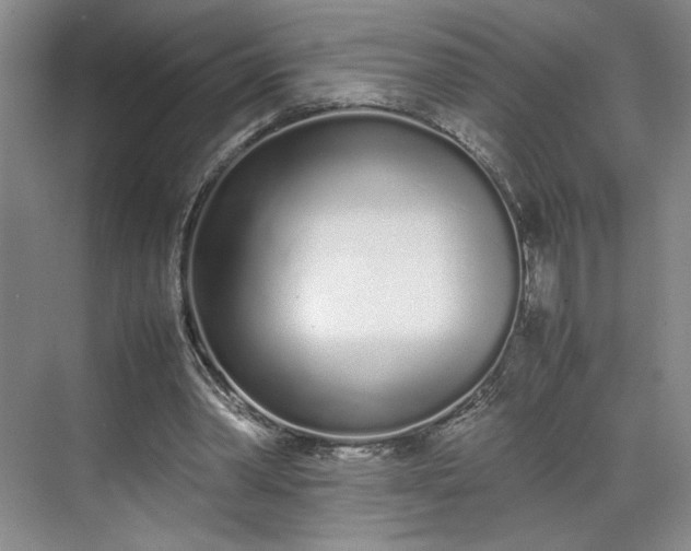 X0000070380390200606161349