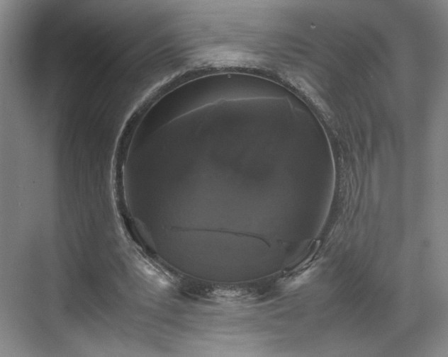 X0000070380391200606161349