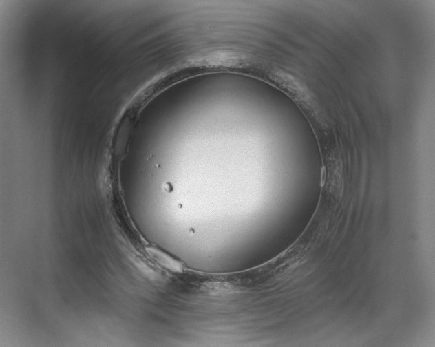 X0000070380392200606161349