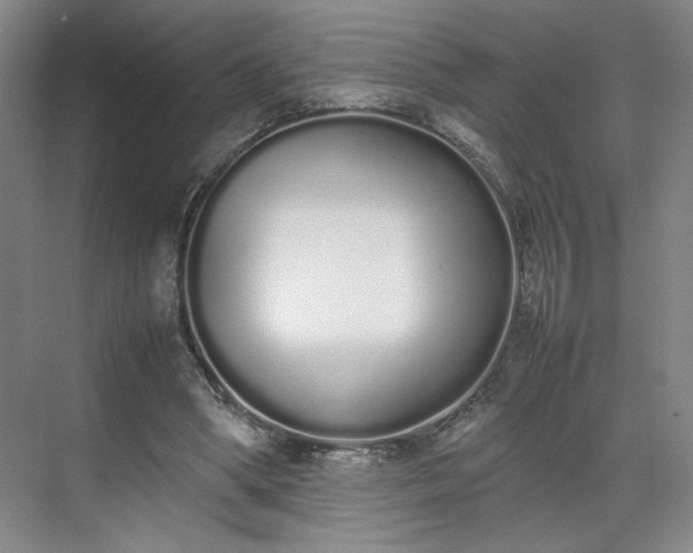 X0000070380394200606161349