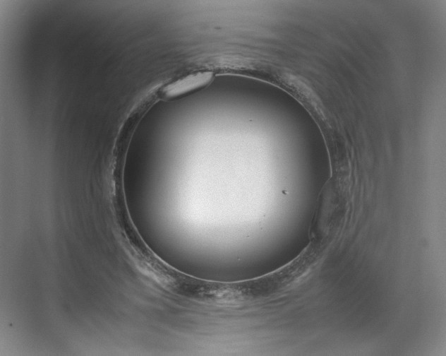 X0000070380395200606161349