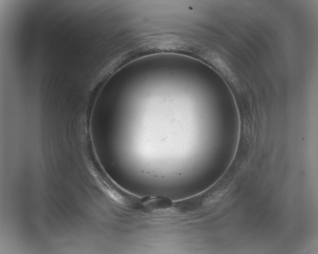 X0000070380397200606161349