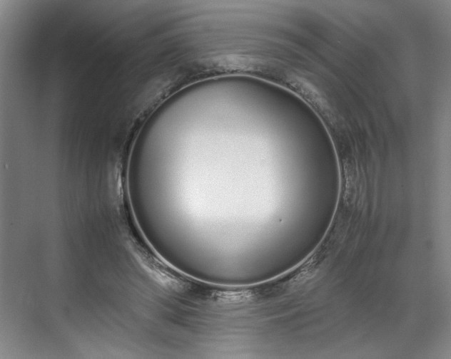 X0000070380398200606161349