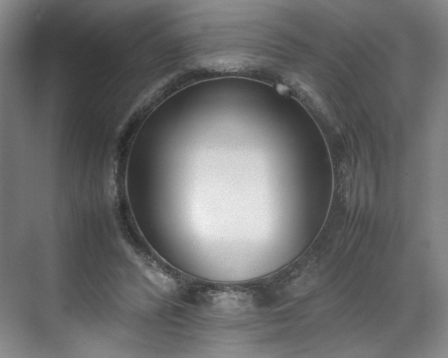 X0000070380400200606161349