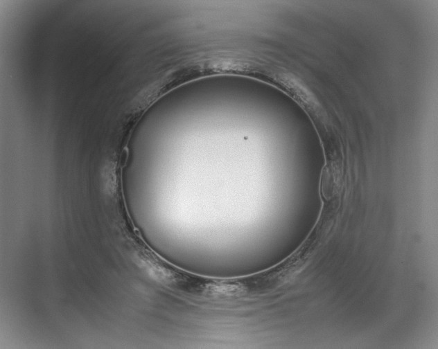 X0000070380401200606161349