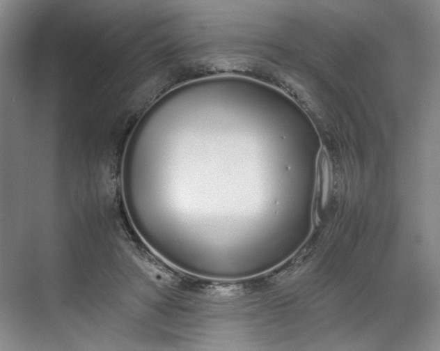 X0000070380402200606161349