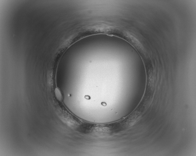 X0000070380403200606161349