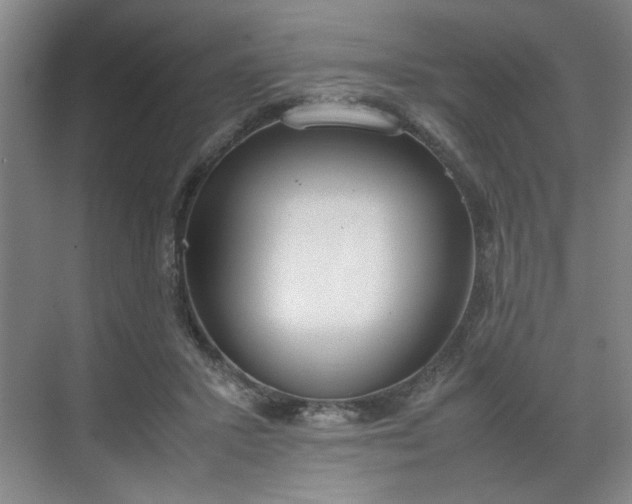 X0000070380407200606161349