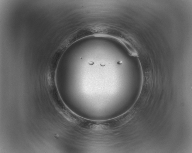 X0000070380408200606161349