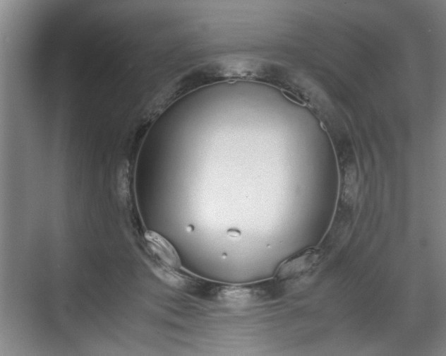 X0000070380413200606161349