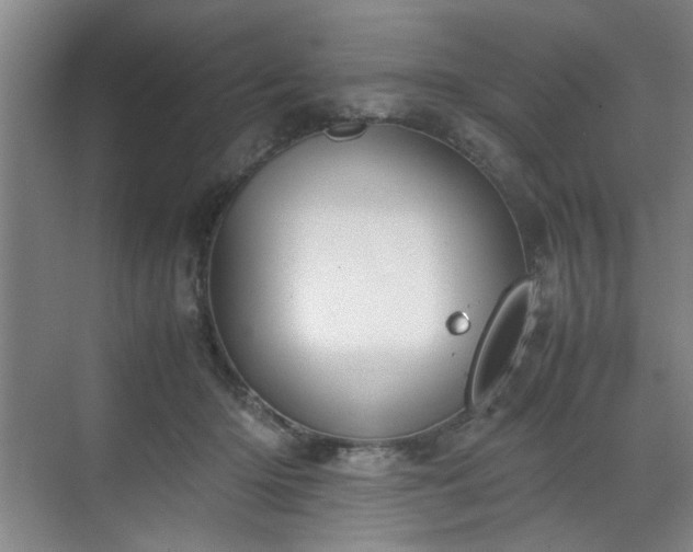 X0000070380414200606161349