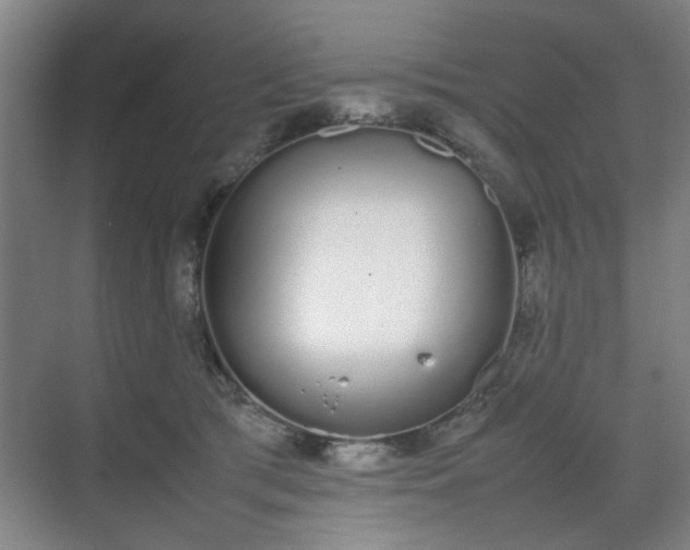 X0000070380417200606161349