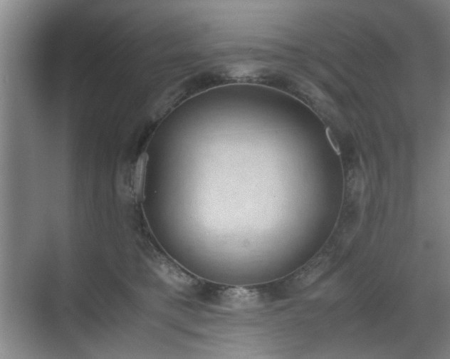 X0000070380421200606161349