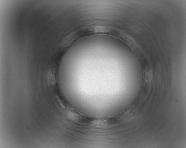 X0000070380422200606161349