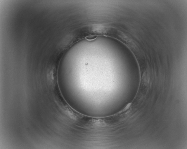 X0000070380424200606161349