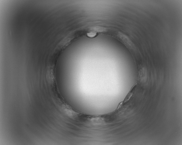 X0000070380426200606161349