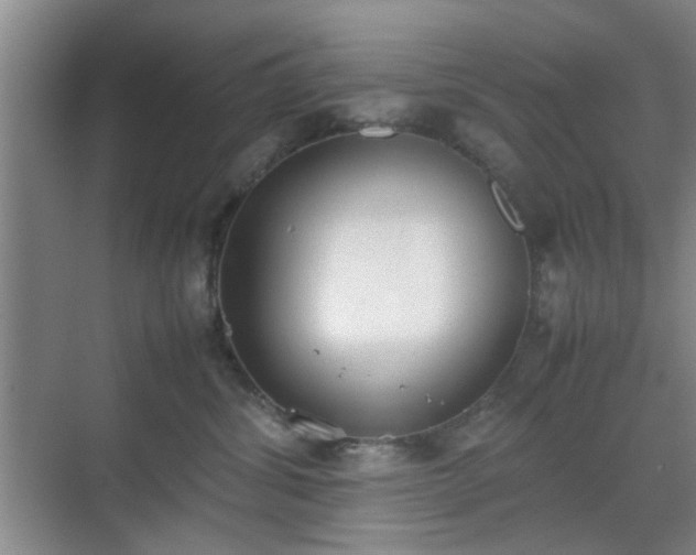 X0000070380428200606161349