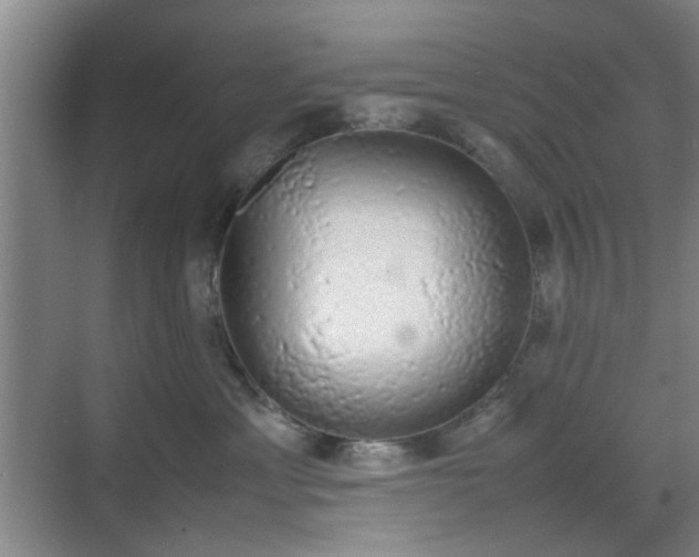 X0000070380429200606161349