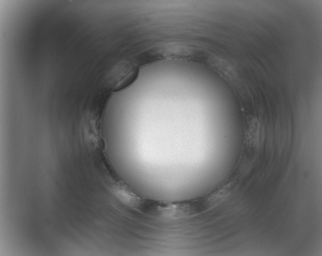 X0000070380430200606161349