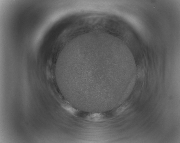 X0000070380431200606161349