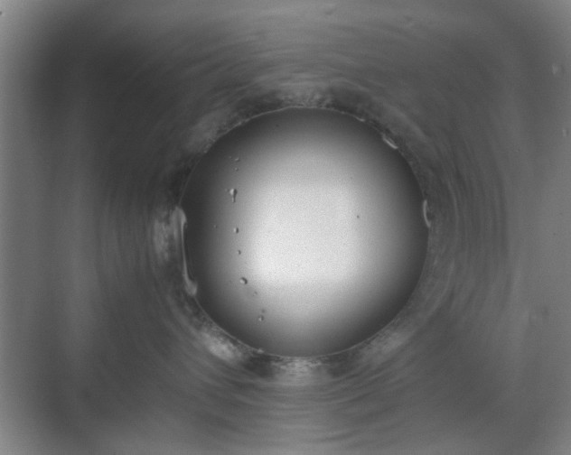 X0000070380432200606161349