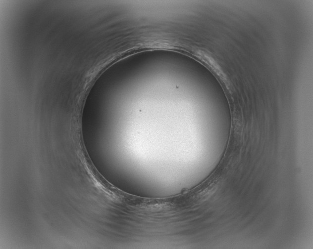 X0000070380433200606161348