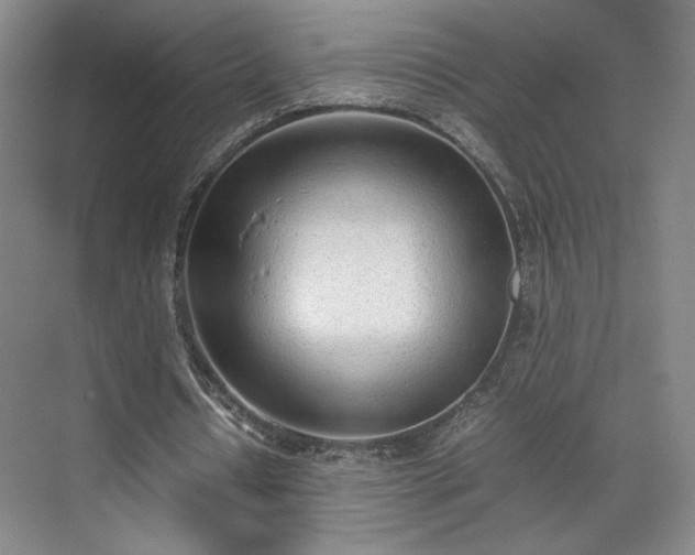 X0000070380434200606161348