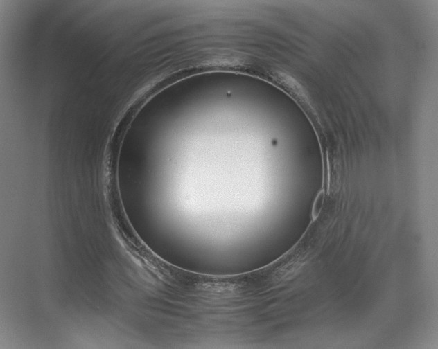 X0000070380435200606161348