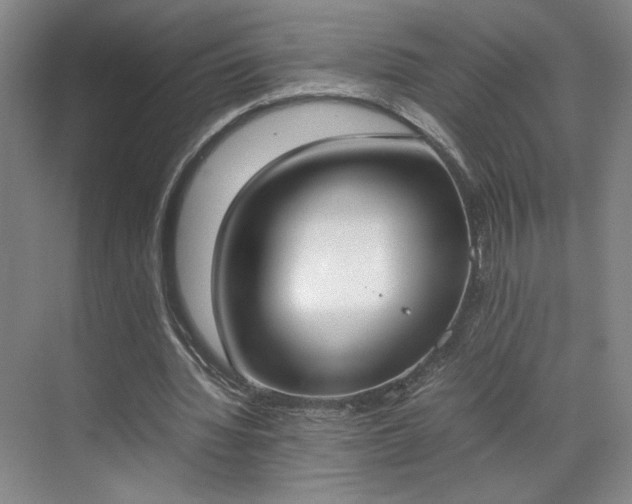 X0000070380436200606161348