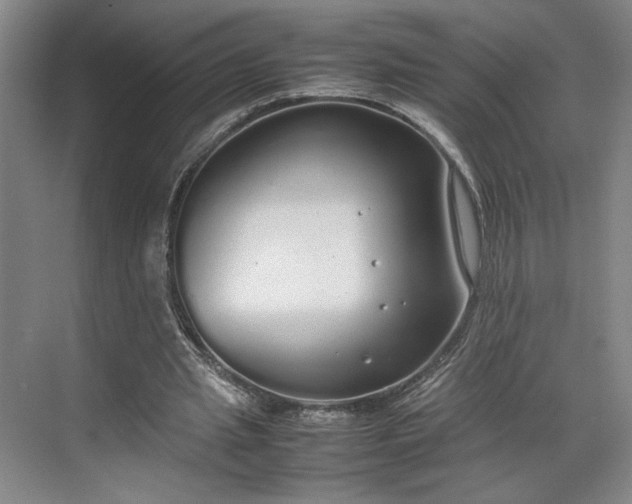 X0000070380437200606161348