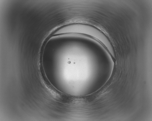 X0000070380438200606161348