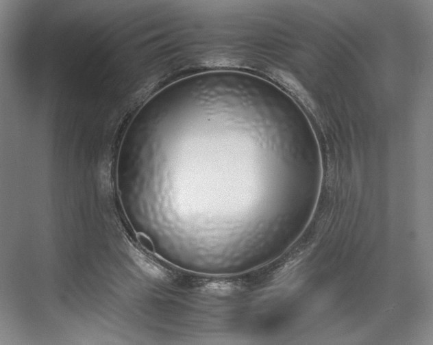 X0000070380441200606161348