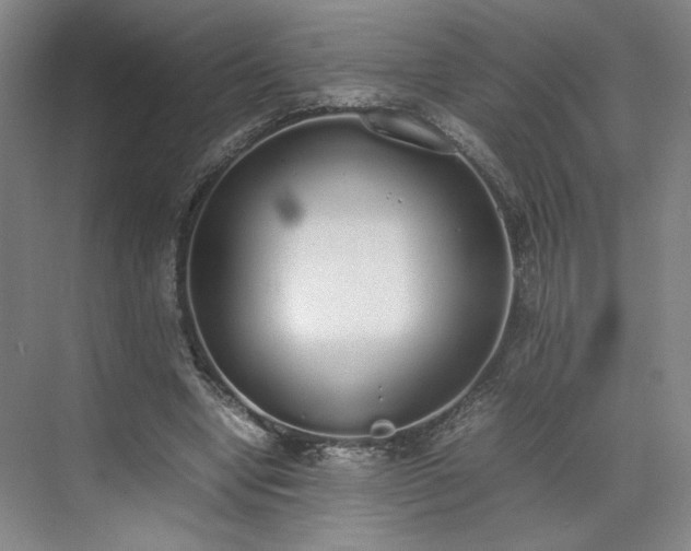 X0000070380442200606161348