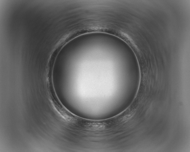 X0000070380443200606161348