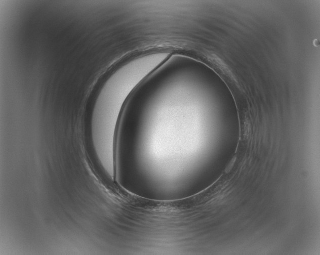 X0000070380444200606161348