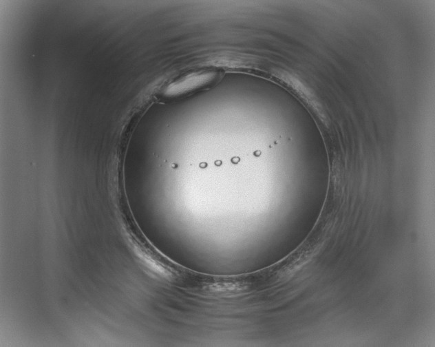 X0000070380445200606161348