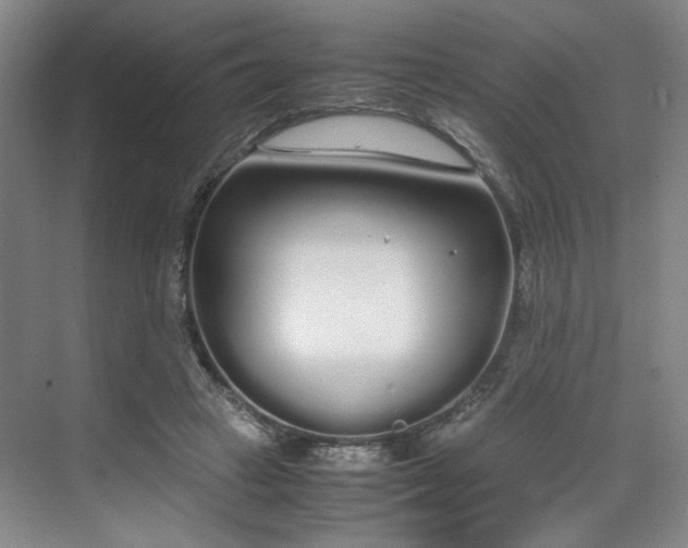 X0000070380449200606161348