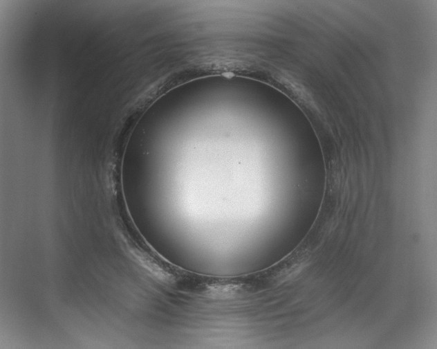 X0000070380450200606161348