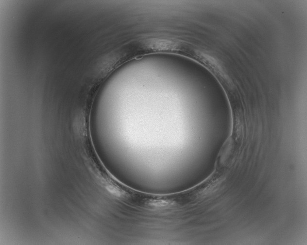 X0000070380453200606161348