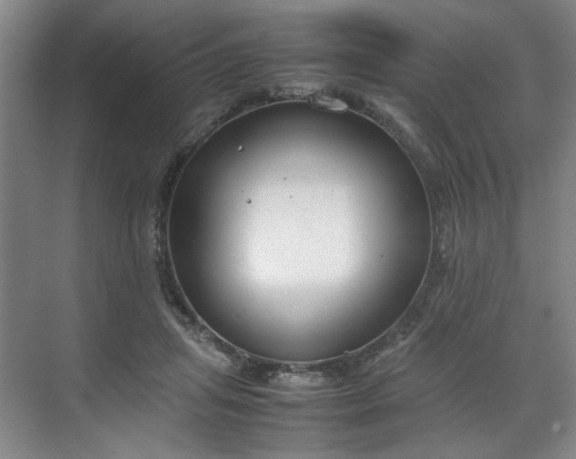 X0000070380455200606161348