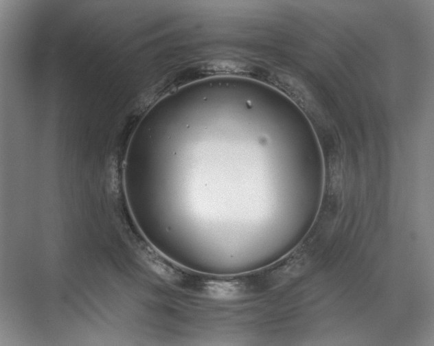 X0000070380457200606161348