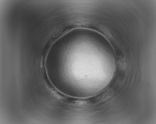 X0000070380458200606161348