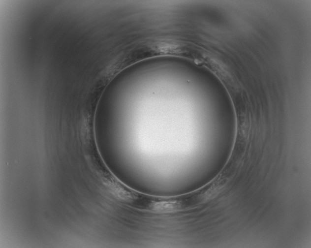 X0000070380461200606161348